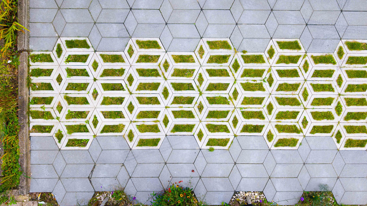 Duurzame bestrating in park met groenstructuur – Studio Wae